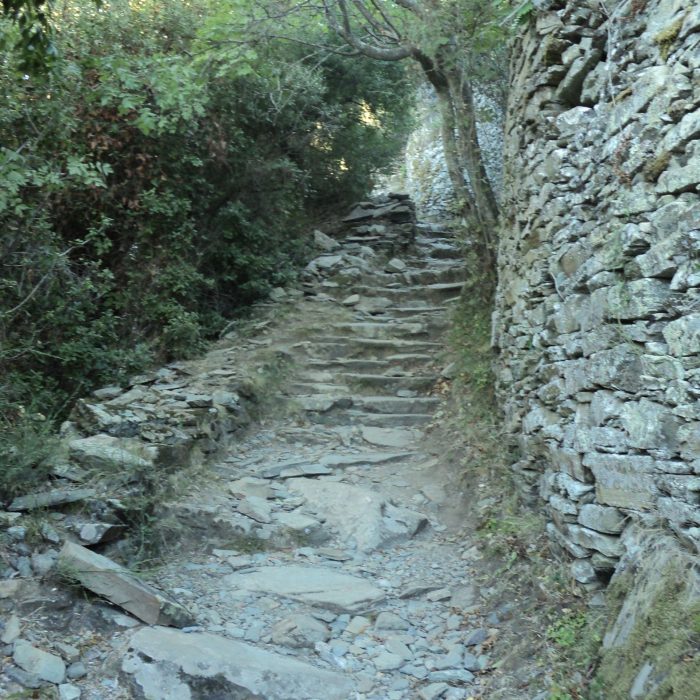 DSC03013